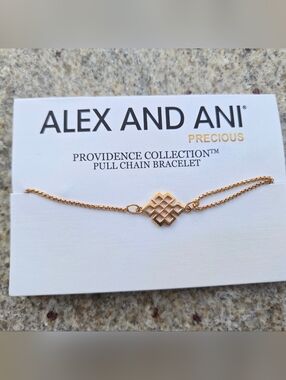 Alex and Ani Providence Collection pull chain bracelet featuring the meaningful